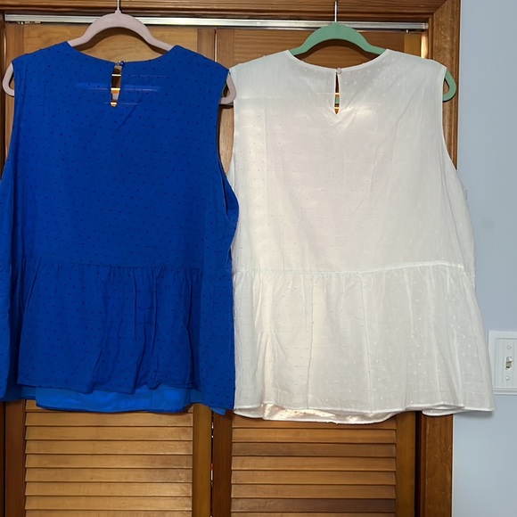 2 Time and Tru dress tops - Picture 2 of 3